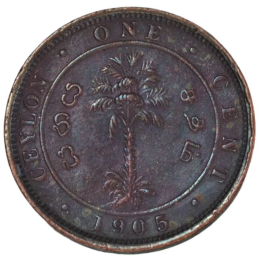 1 Cent- Edward VII Ceylon ( Sri Lanka ) 1905 Coin KM# 102