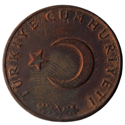 1971 10 Kuru Coin from Turke