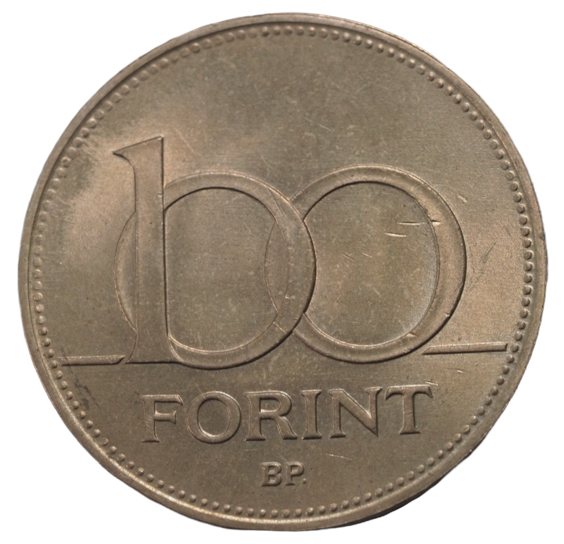 Hungary 100 Forint 1993 Coin