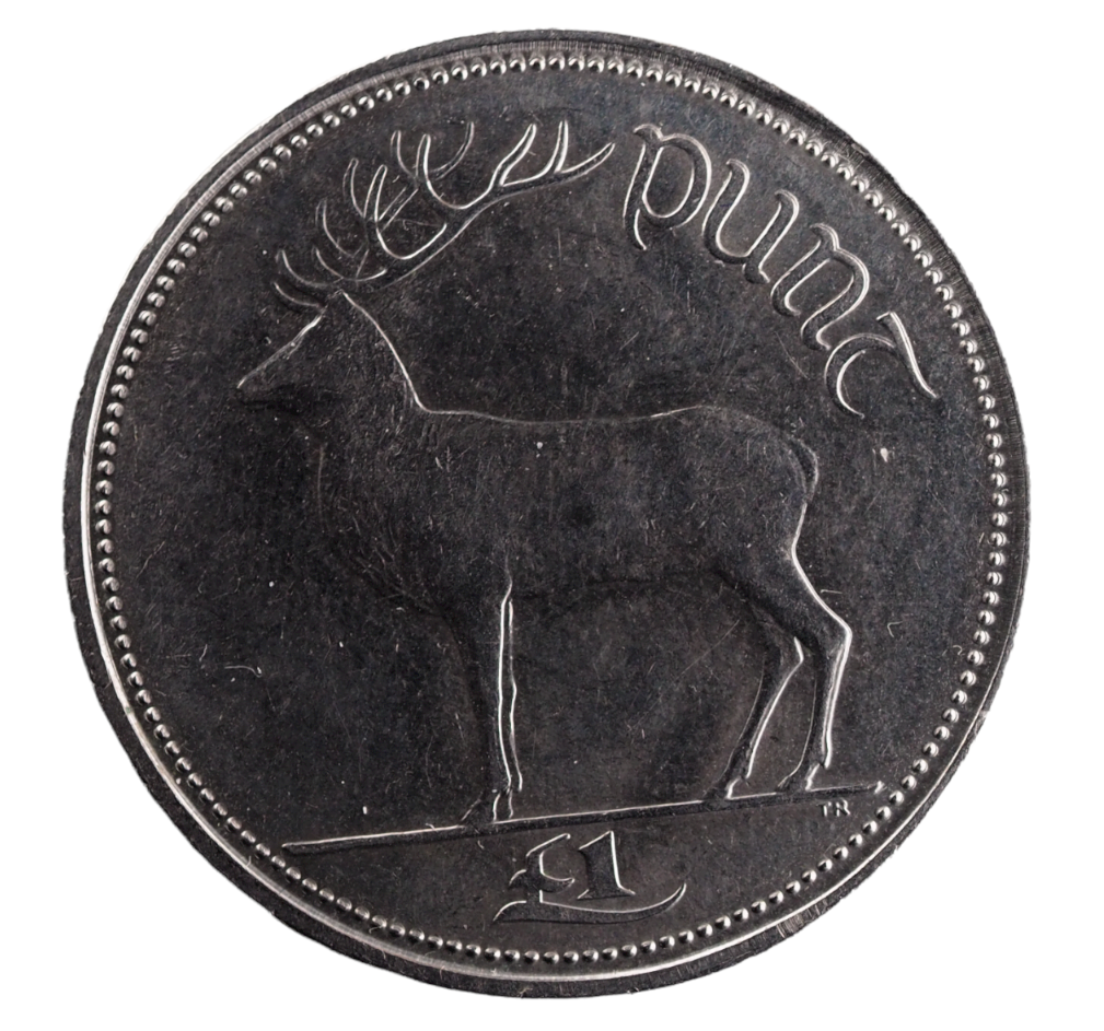 Ireland Irish One Punt Coin 1996 Copper-Nickel