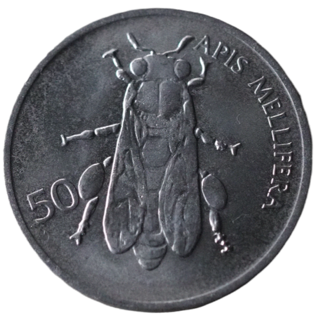 Slovenia 50 Stotinov Coin 1993 UNC Reverse