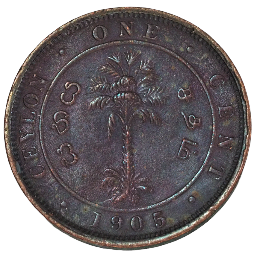 1 Cent- Edward VII Ceylon ( Sri Lanka  ) 1905 Coin     KM# 102