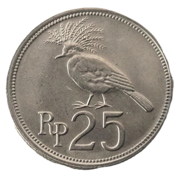 25 Rupiah  Indoniesia 1971 Coin     KM# 34