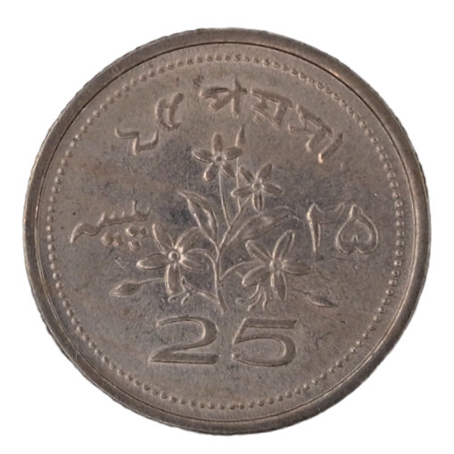 25 Paisa  Pakistan 1973 Coin   KM# 30